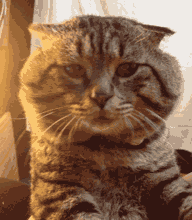 640.gif